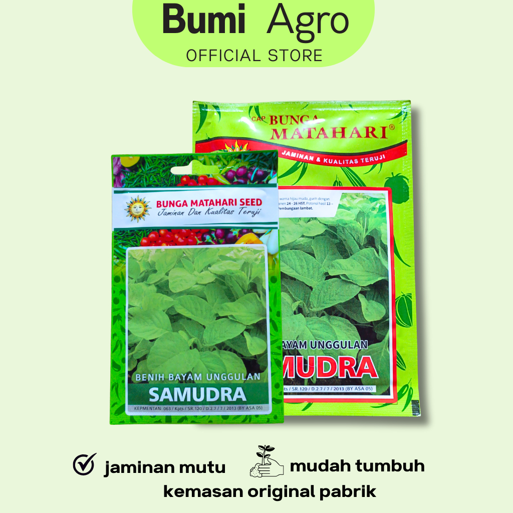 Benih Bayam Hijau 50 gr SAMUDRA cap Bunga Matahari Bayam Mangkok Cabut Potong