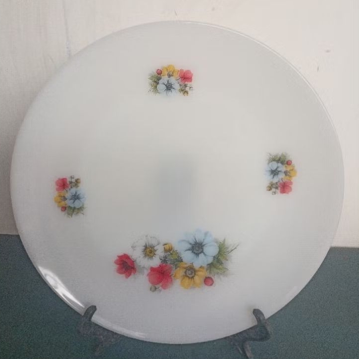 PIRING SAJI LAWAS ARCOPAL FRANCE D29