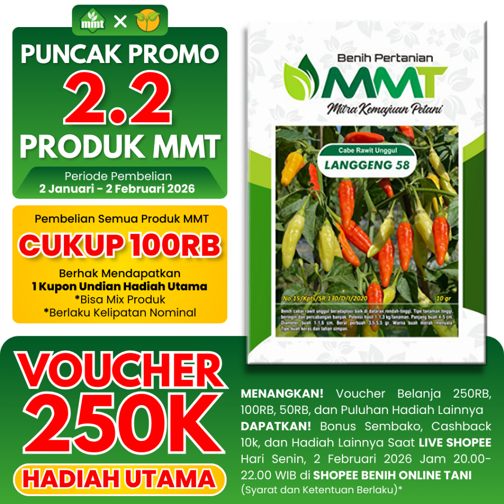 BENIH CABAI RAWIT UNGGUL LANGGENG 58 10 GR MMT