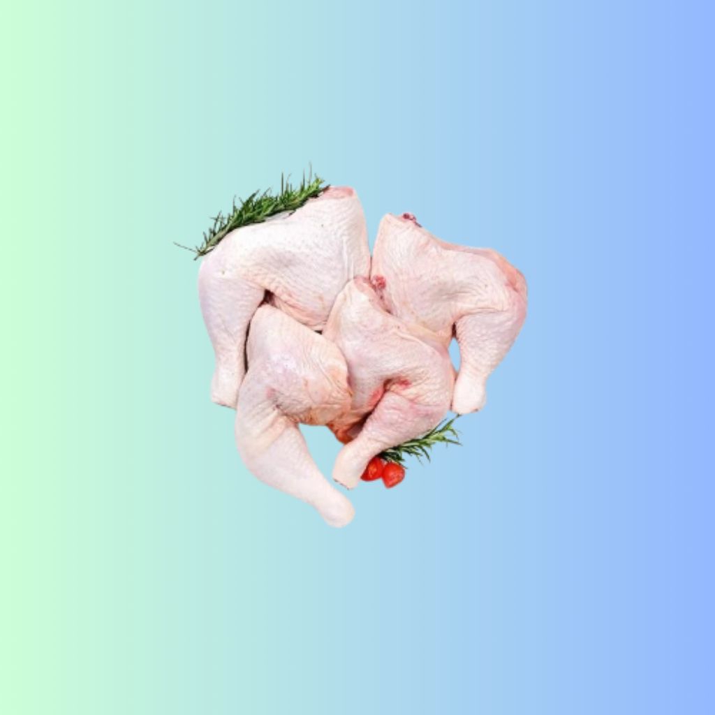 AYAM POTONG BROILER / AYAM DAGING SEGAR HALAL