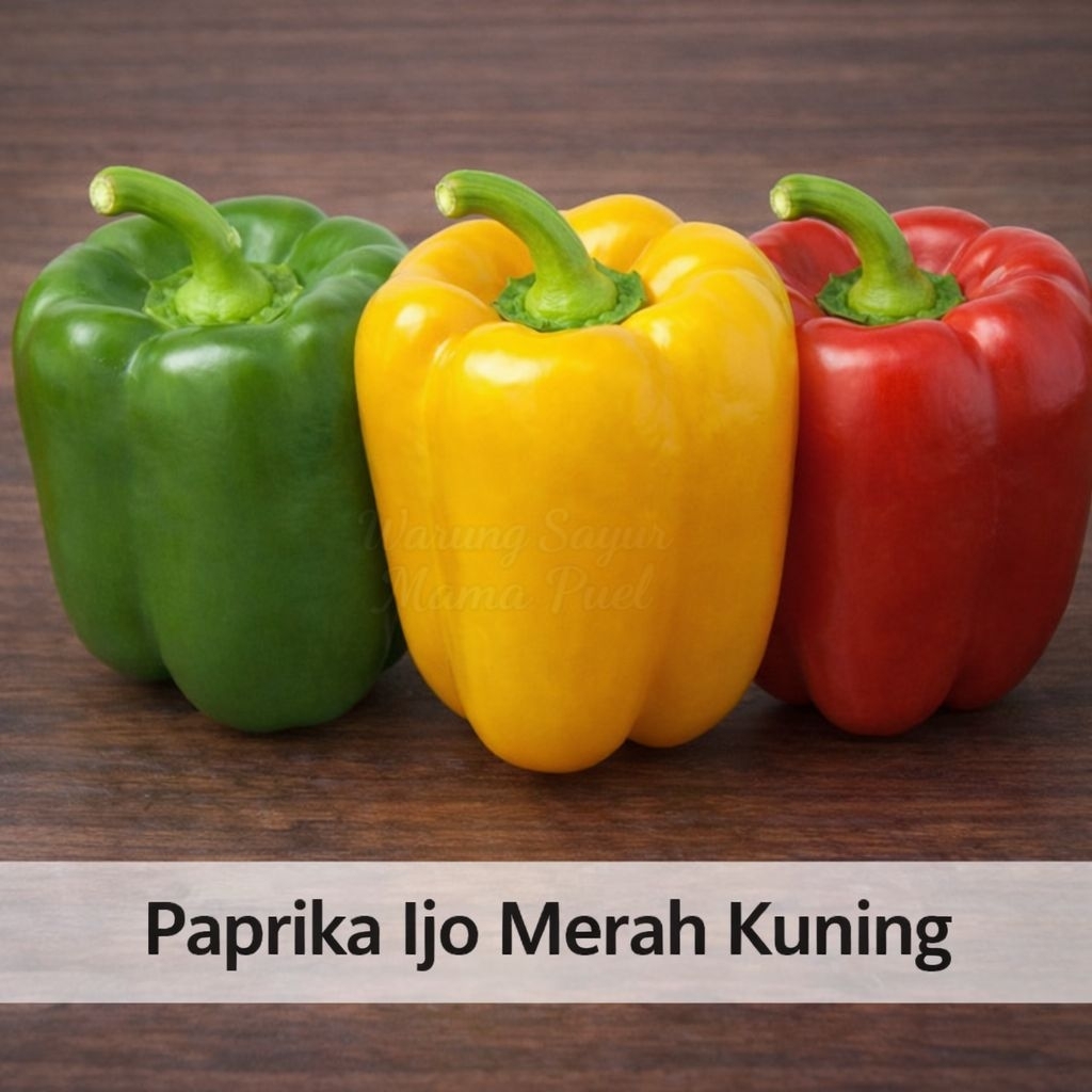 EXPRESS PAPRIKA/PAPRIKA MERAH/PAPRIKA HIJAU/PAPRIKA KUNING
