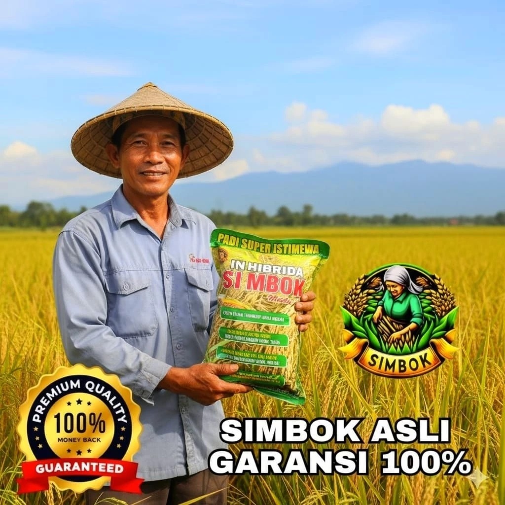 Bibit Padi Simbok In Hibrida 1 Kg Mentes Unggul