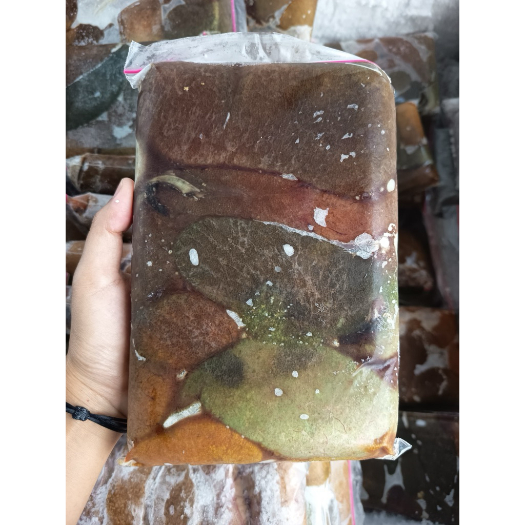 telur ikan lele berat 1 kg