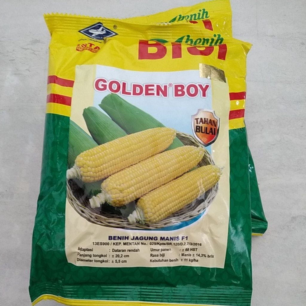 Golden Boy benih jagung manis GOLDEN BOY 250gr