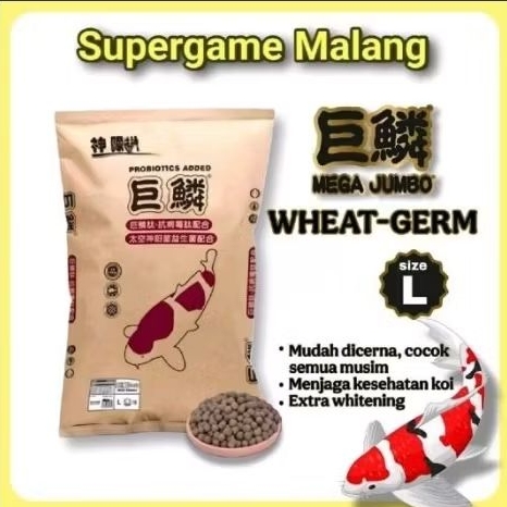 Mega Jumbo Wheat Germ 1KG 1 KG Super Grow Color Whitening Growth Colour Pakan Ikan Koi Import