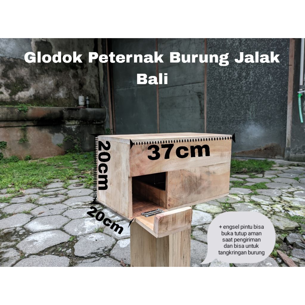 Glodok Burung Jalak Untuk Peternak Burung Jalak Bali Dan burung Sejenisnya
