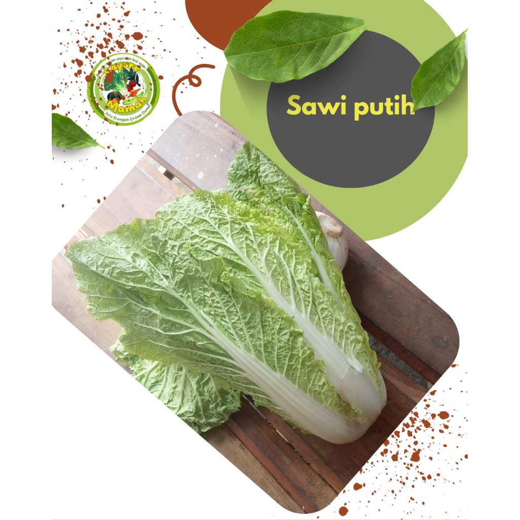 Sawi Putih Segar - SAYUR MAMAHE JOGJA