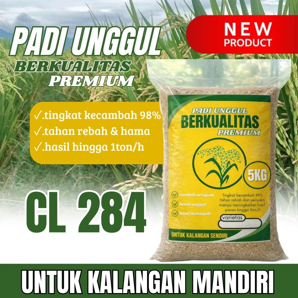 Benih padi unggul CL284 original 5kg