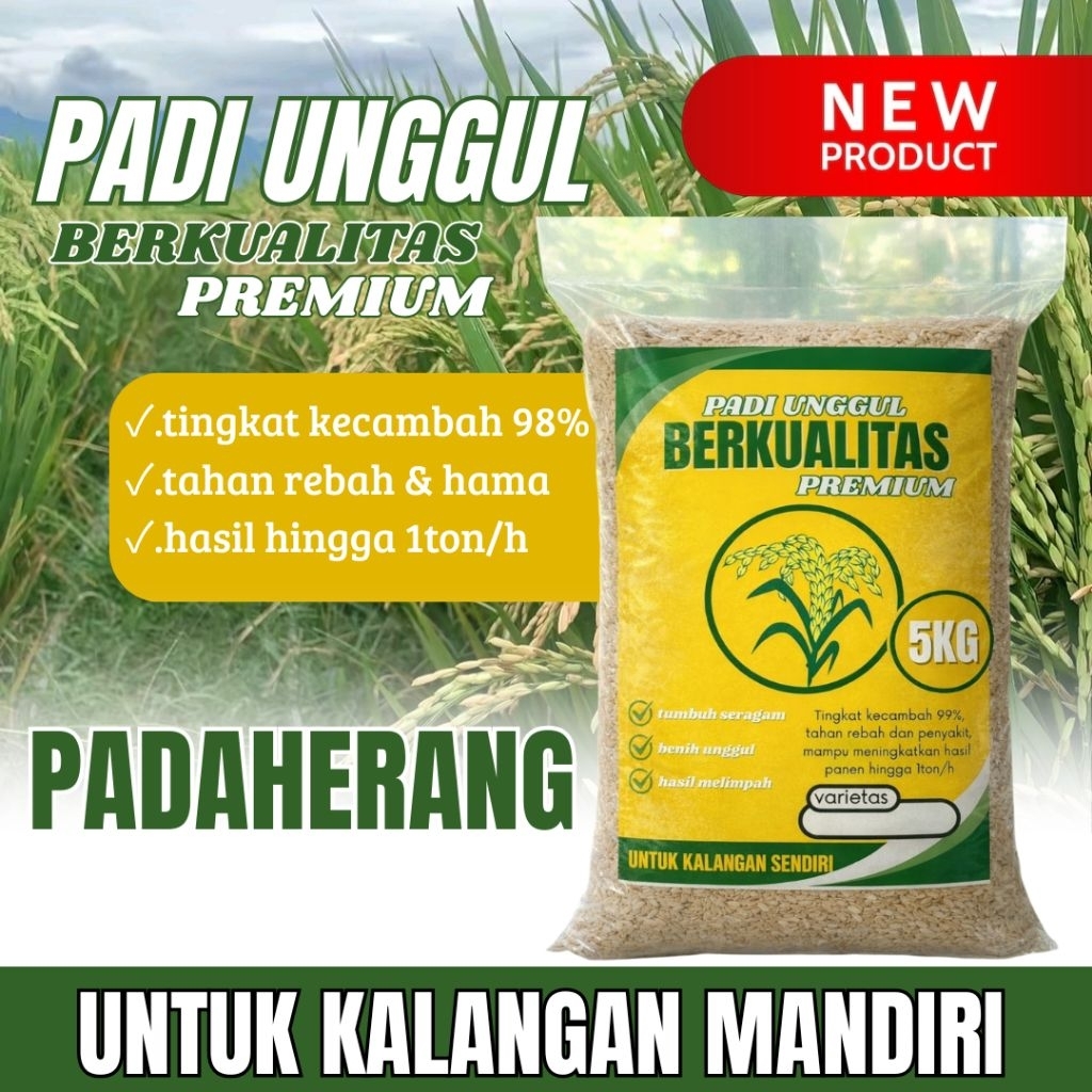 Benih padi unggul Padaherang original 5kg