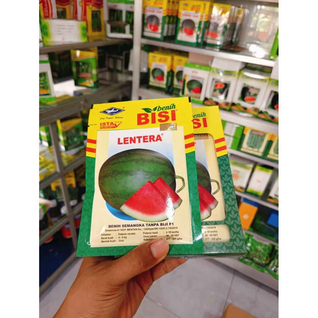 Benih Bibit Semangka Non Biji Lentera F1 (Manis bentuk Oval Lonjong) Isi 20 Gram Kadaluarsa 2026 Ter