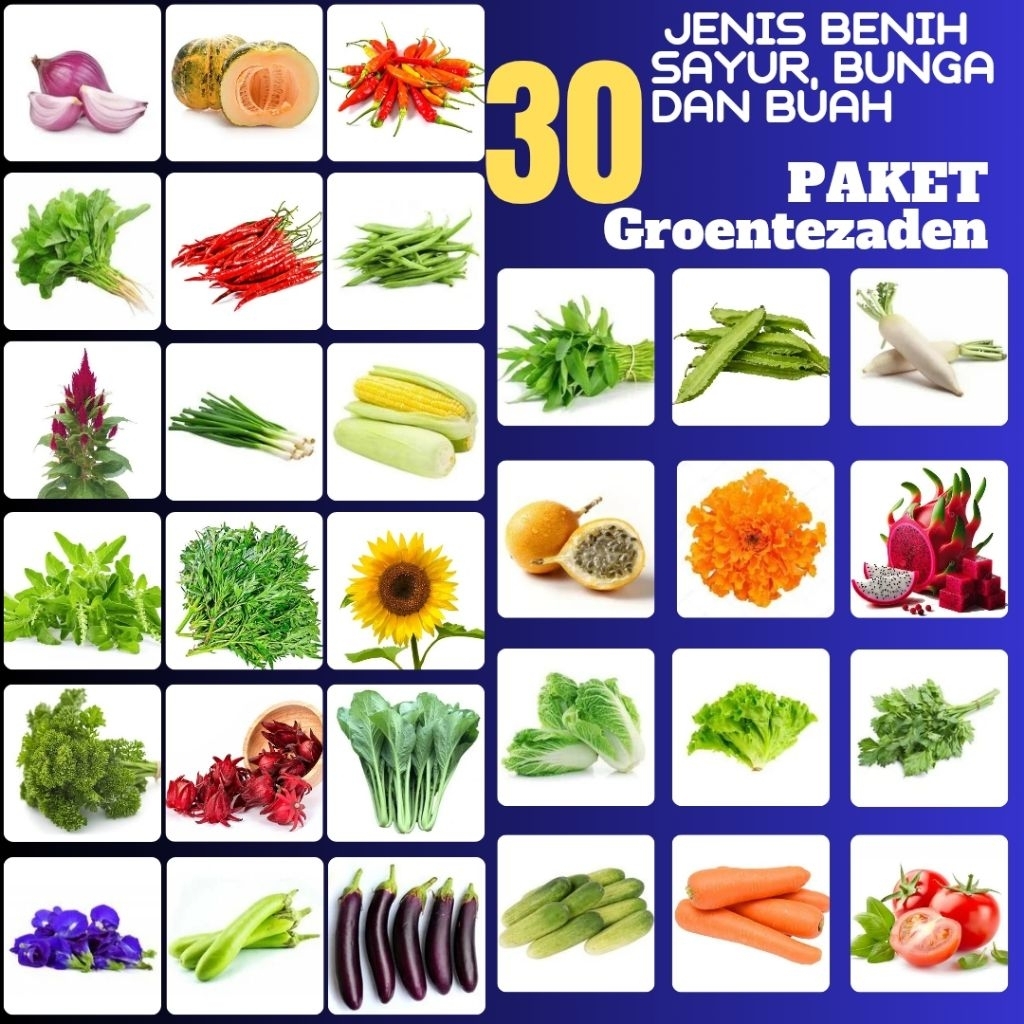 Paket 30 Jenis benih bibit biji sayur, bunga dan buah