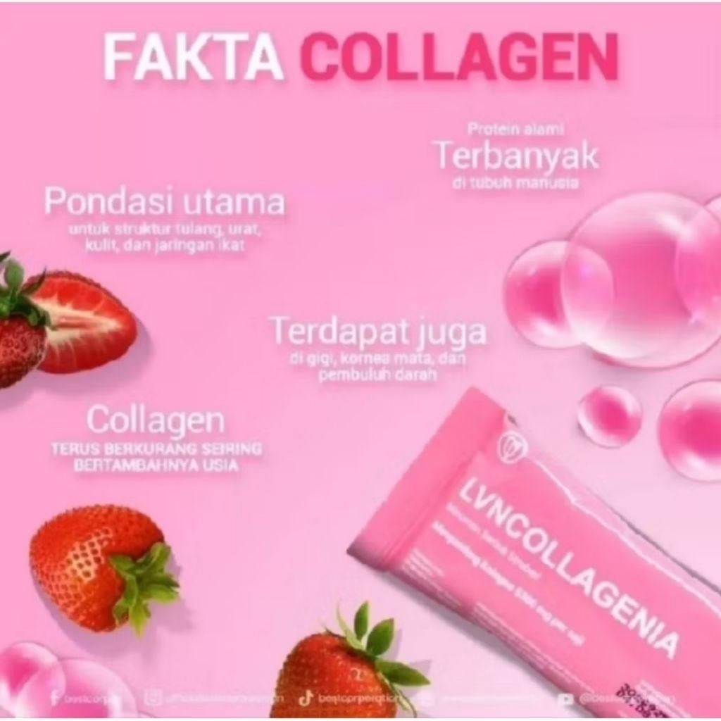 lvn collagenia 1 box isi 10 sachet original