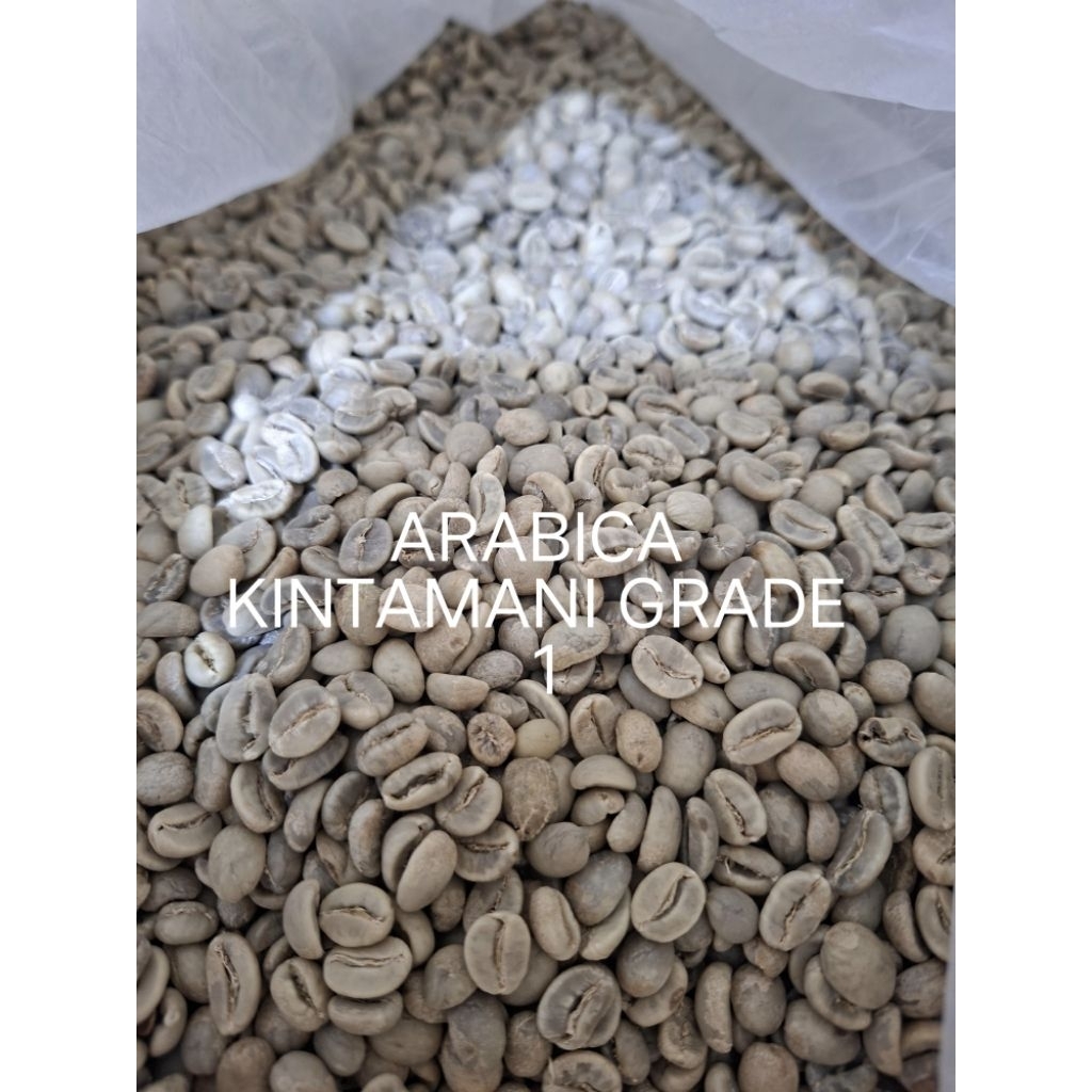 KOPI ARABICA KINTAMANI GREEN BEAN GRADE 1