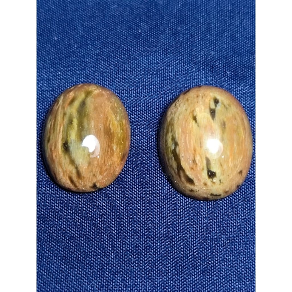 LOOSE STONE - Natural Nagasari Petrified Wood / Batu Fosil Kayu Nagasari