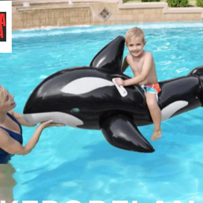bestway 41009 | Pelampung renang whale bestway 41009 | pelampung renang paus hitam bestway 41009