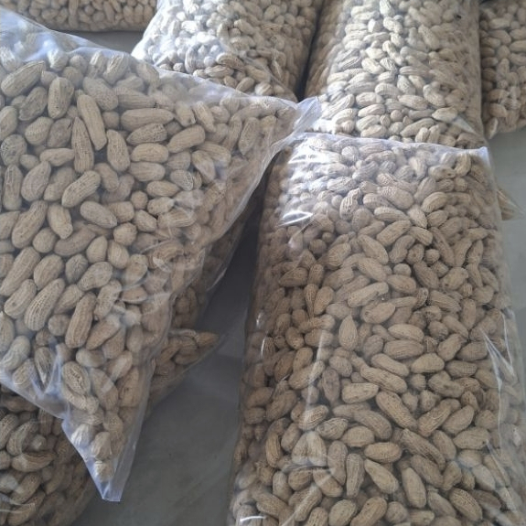 KACANG KULIT SANGRAI ORIGINAL 3 KG || gurih | renyah | manis