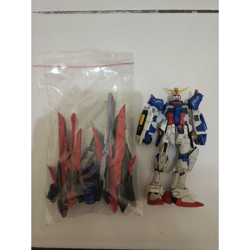 RG 1/144 GUNDAM DESTINY 2nd