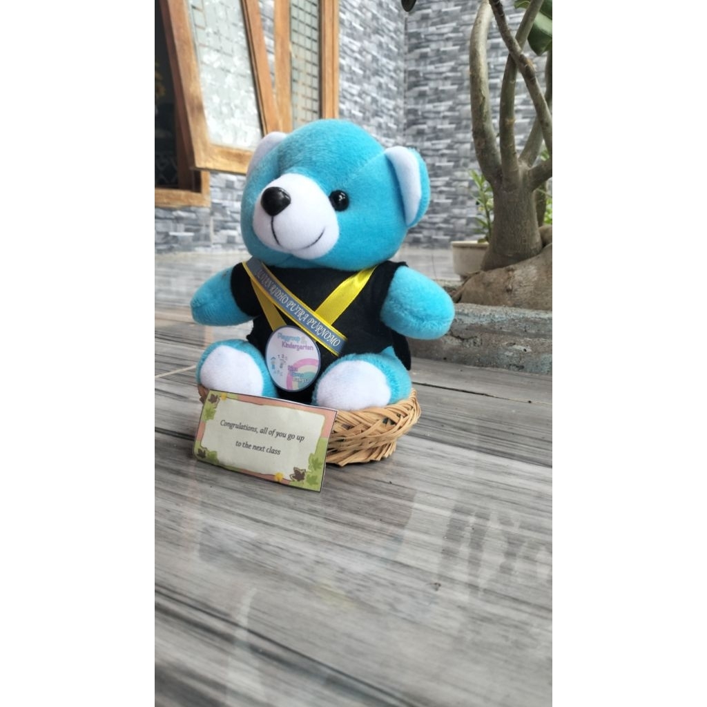 Boneka Wisuda keranjang custom