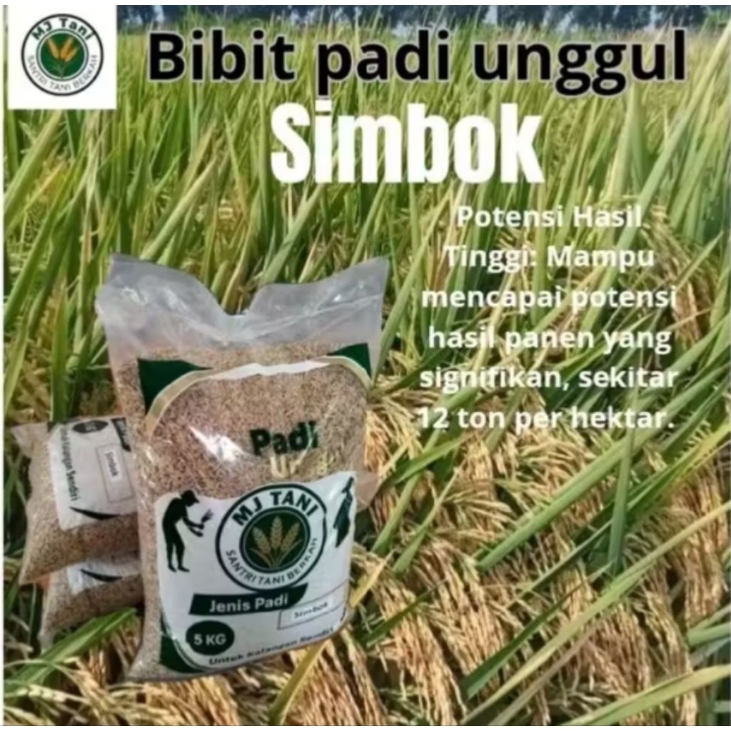 Bibit Padi SIMBOK -5Kg Original Varietas Padi Super Kokoh Mudah Perawatan Hasil Optimal