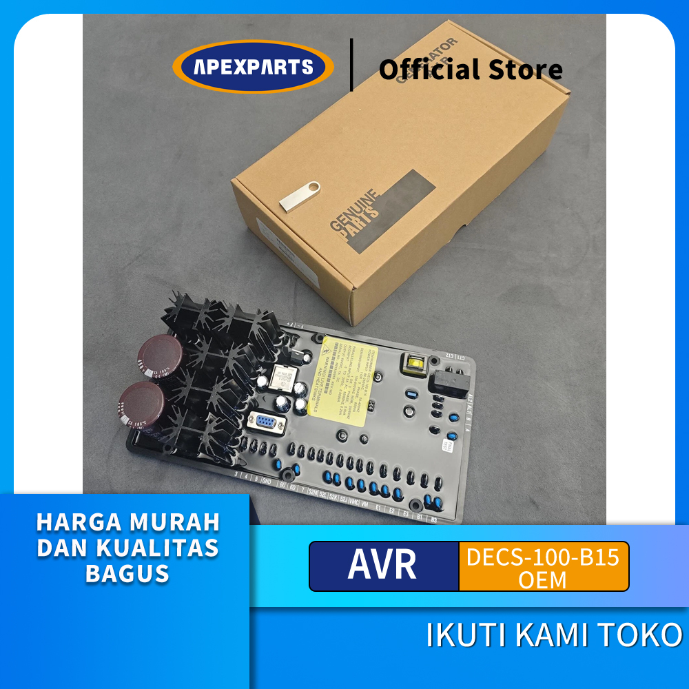 OEM AVR DECS-100-B15 DECS 100 B15 UNTUK DINAMO GENSET AVR GENERATOR