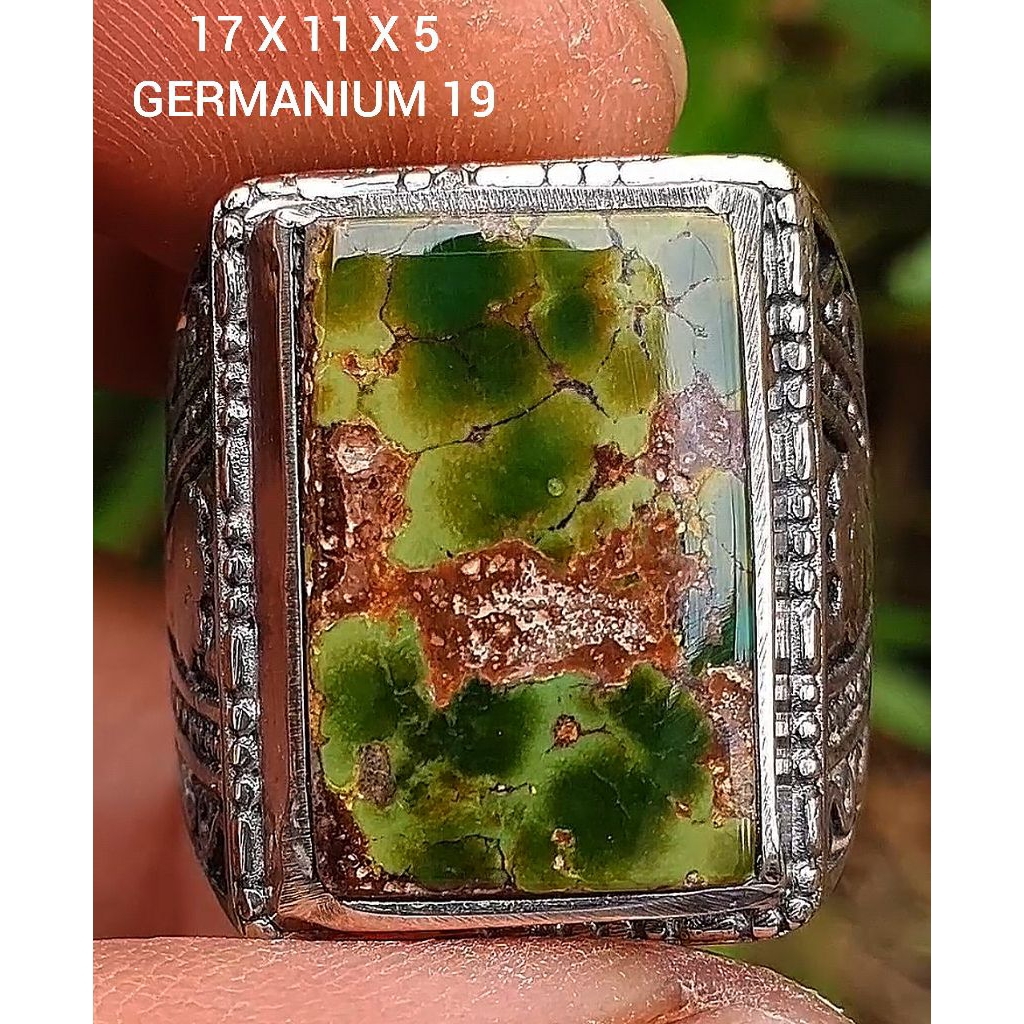 pirus Persia lawasan hijau gradasi