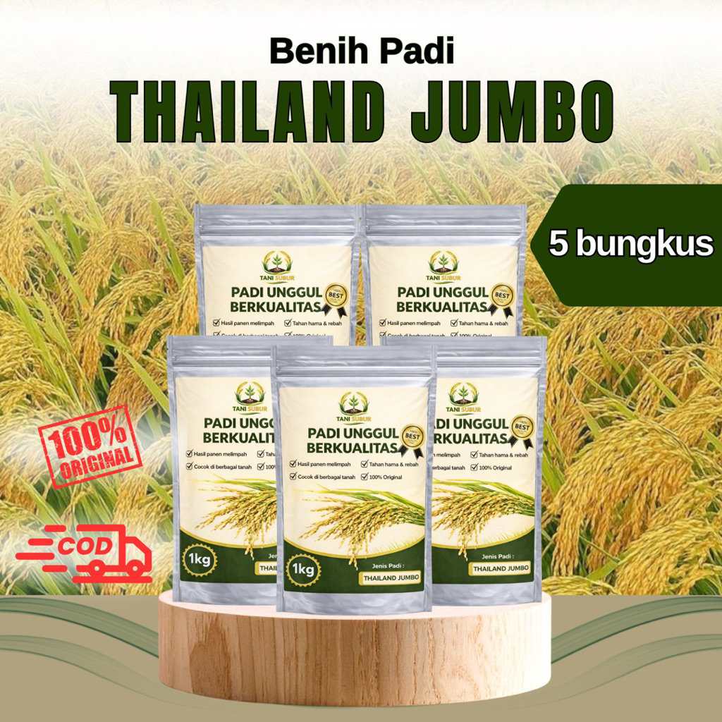 Benih padi unggul THAILAND JUMBO benih padi berkualitas 5 bungkus