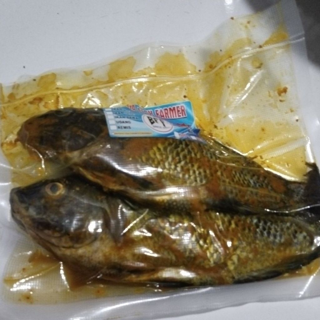 ikan nila bumbu kuning siap goreng