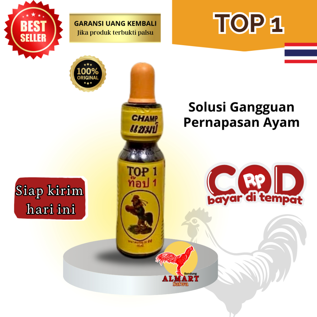 Top 1 one obat ayam ngorok import original Thailand