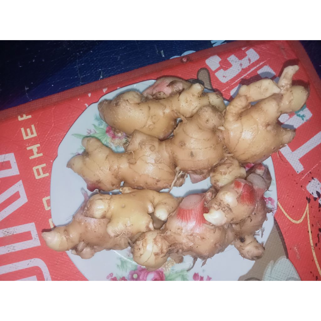 Emprit jahe/jahe emprit segar 1 Kg bersih