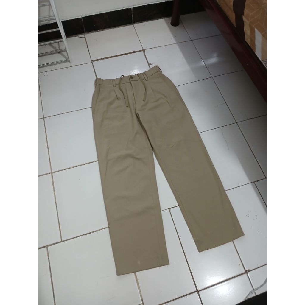 uniqlo pleated wide pants
