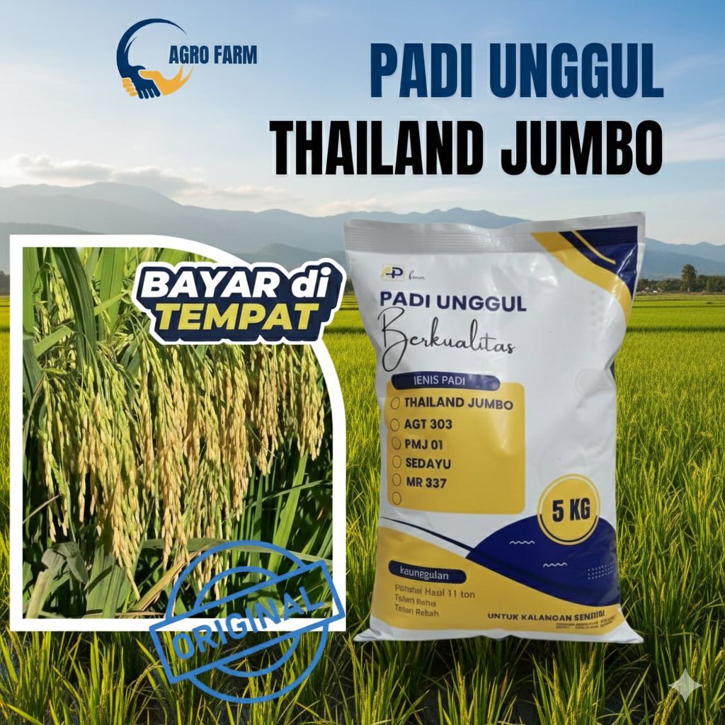 BENIH BIBIT PADI UNGGUL THAILAND JUMBO KEMASAN 5KG BENIH BIBIT PADI UNGGUL THAILAND JUMBO KEMASAN 5K