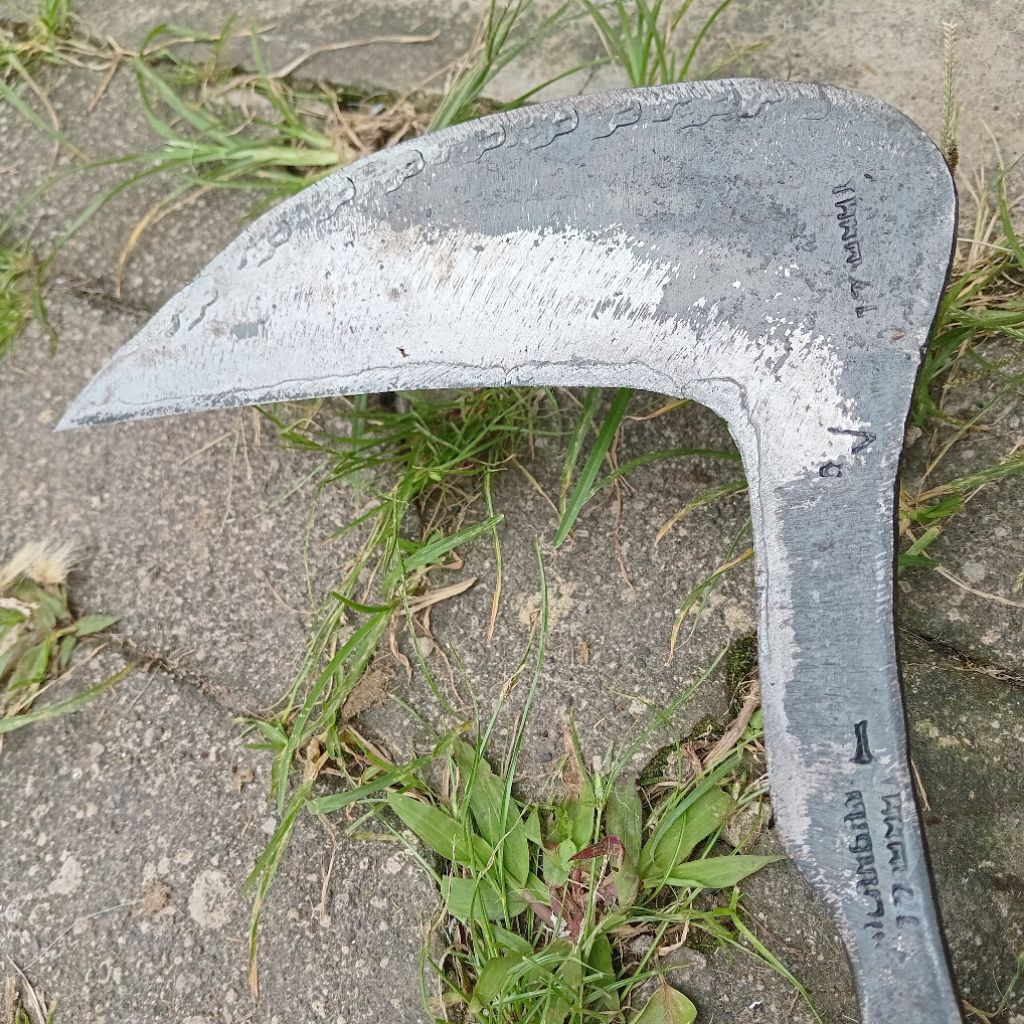 aret sabit rumput buatan wonosobo