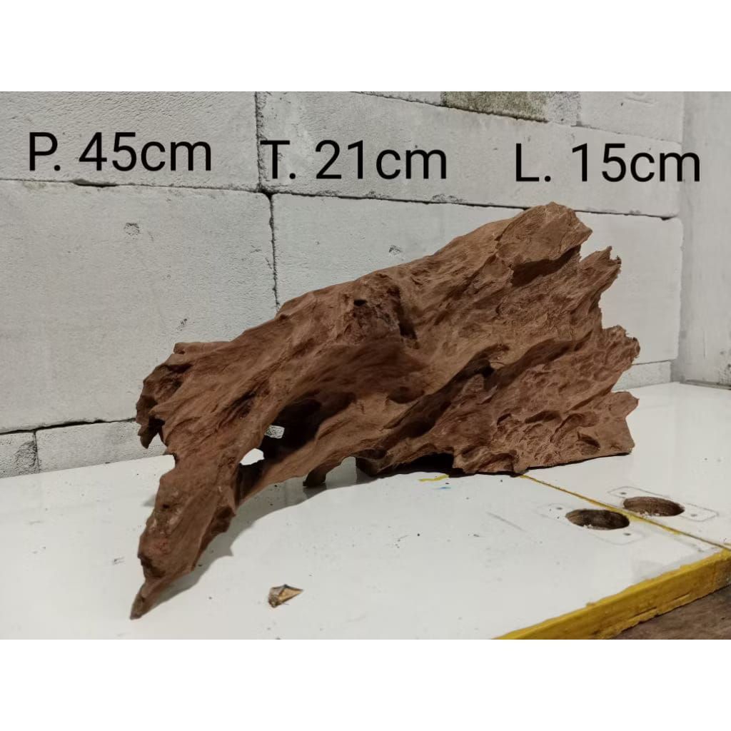 Kayu Rentek besar panjang 50cm