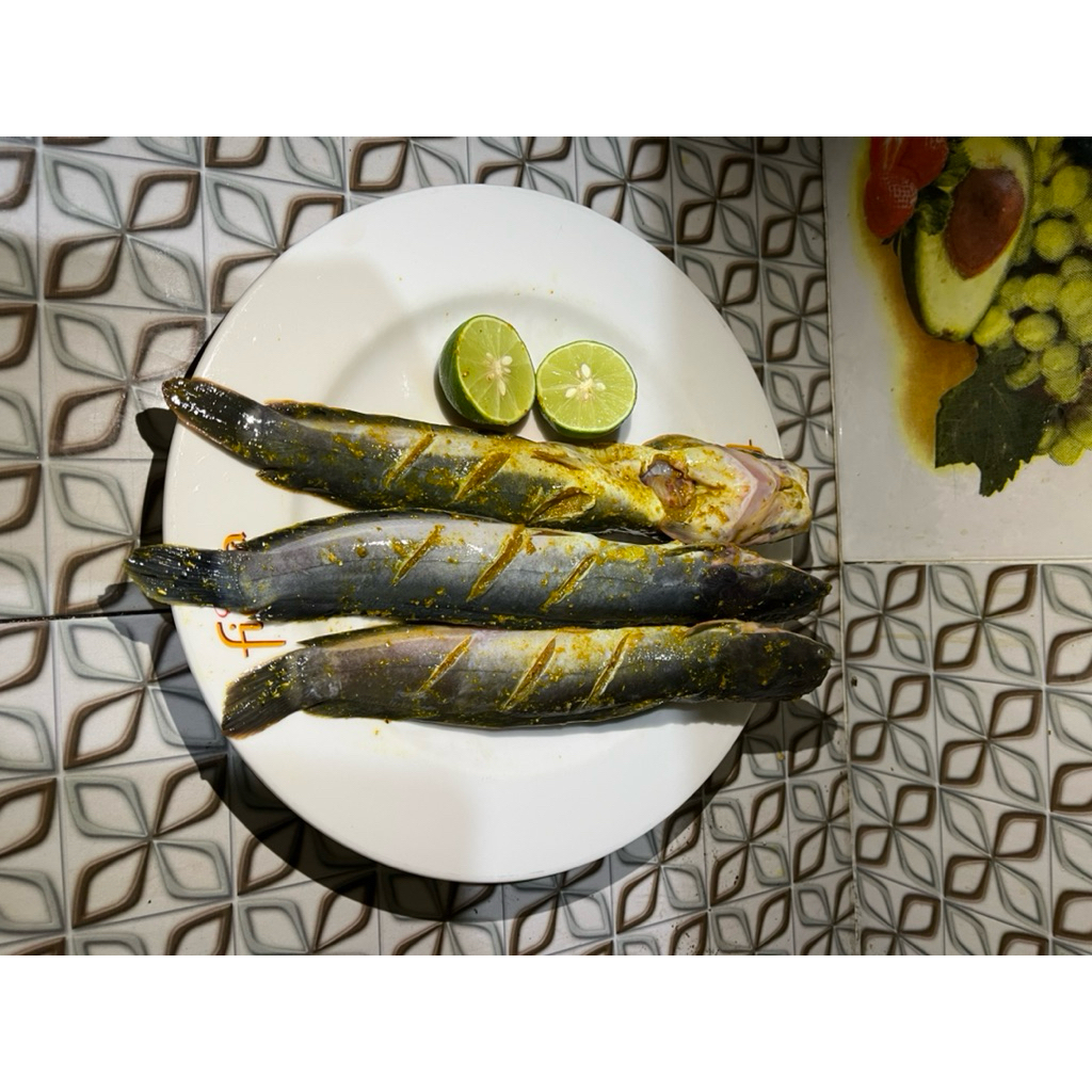 Lele Marinasi Bumbu Kuning kemasan 500gr