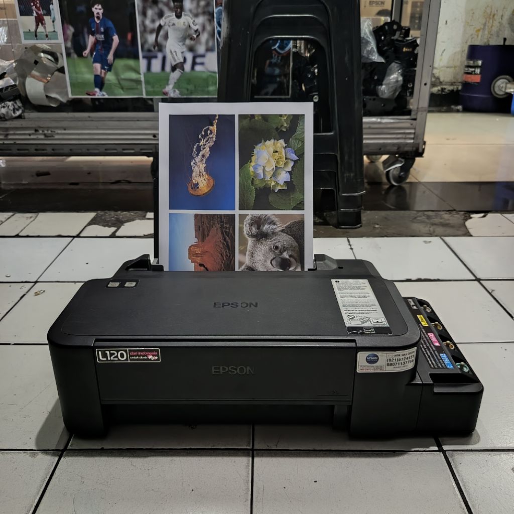 Printer Epson L120 print Only