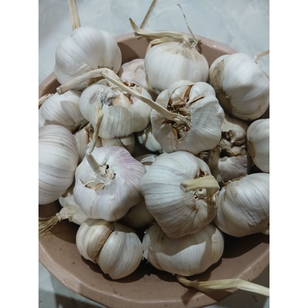 bawang putih 1 kg
