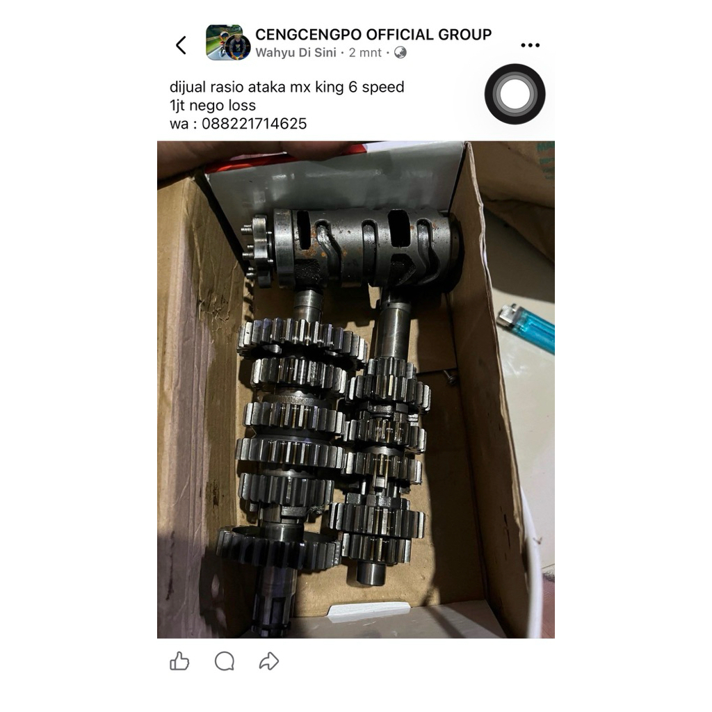 rasio mx king 6speed