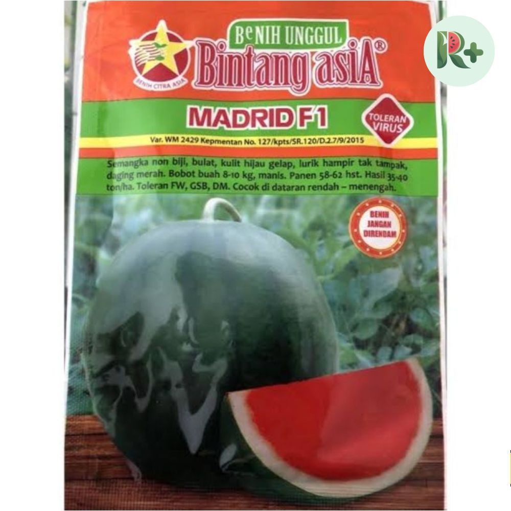 Bibit Semangka non biji MADRID F1 20 Gram - Bintang Asia