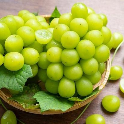 Anggur Hijau Shine Muscat Bibit Jepang Green Seedless Grapes 1 dus 5 Kg