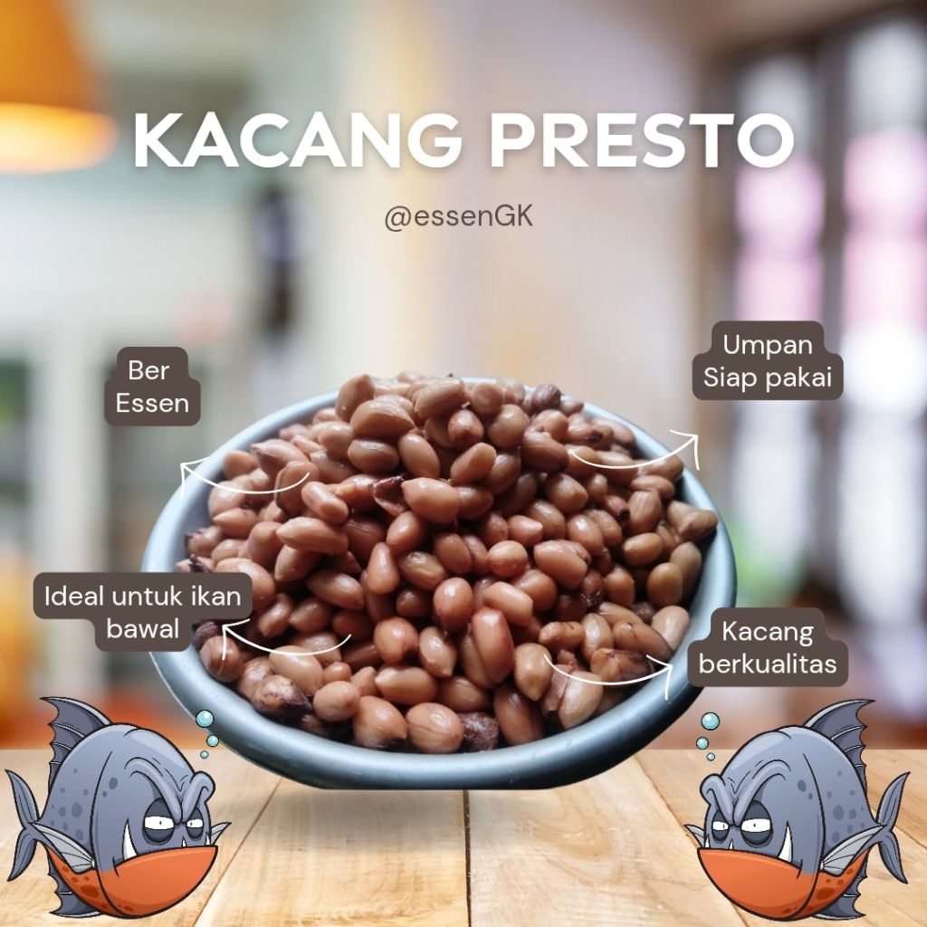 kacang presto umpan bawal