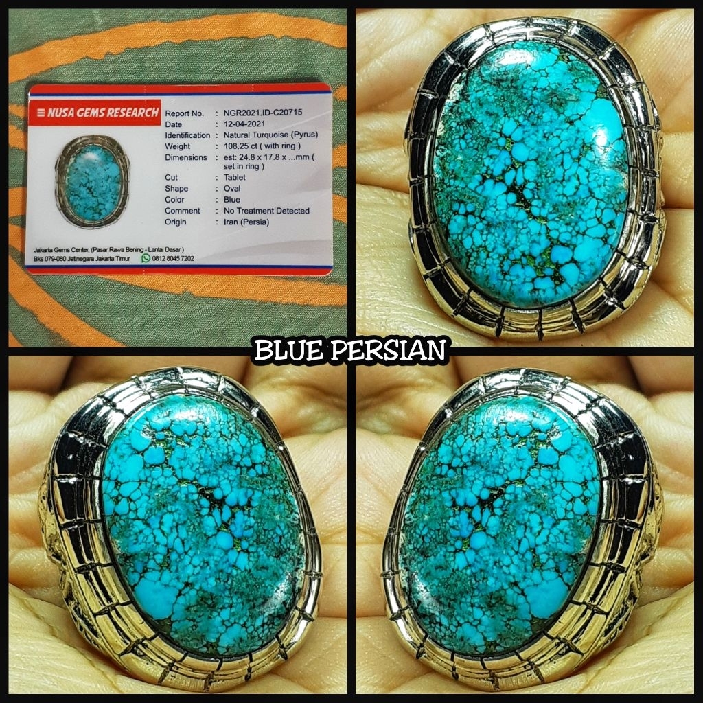 pirus ngerikil jumbo asli persia lawasan bos