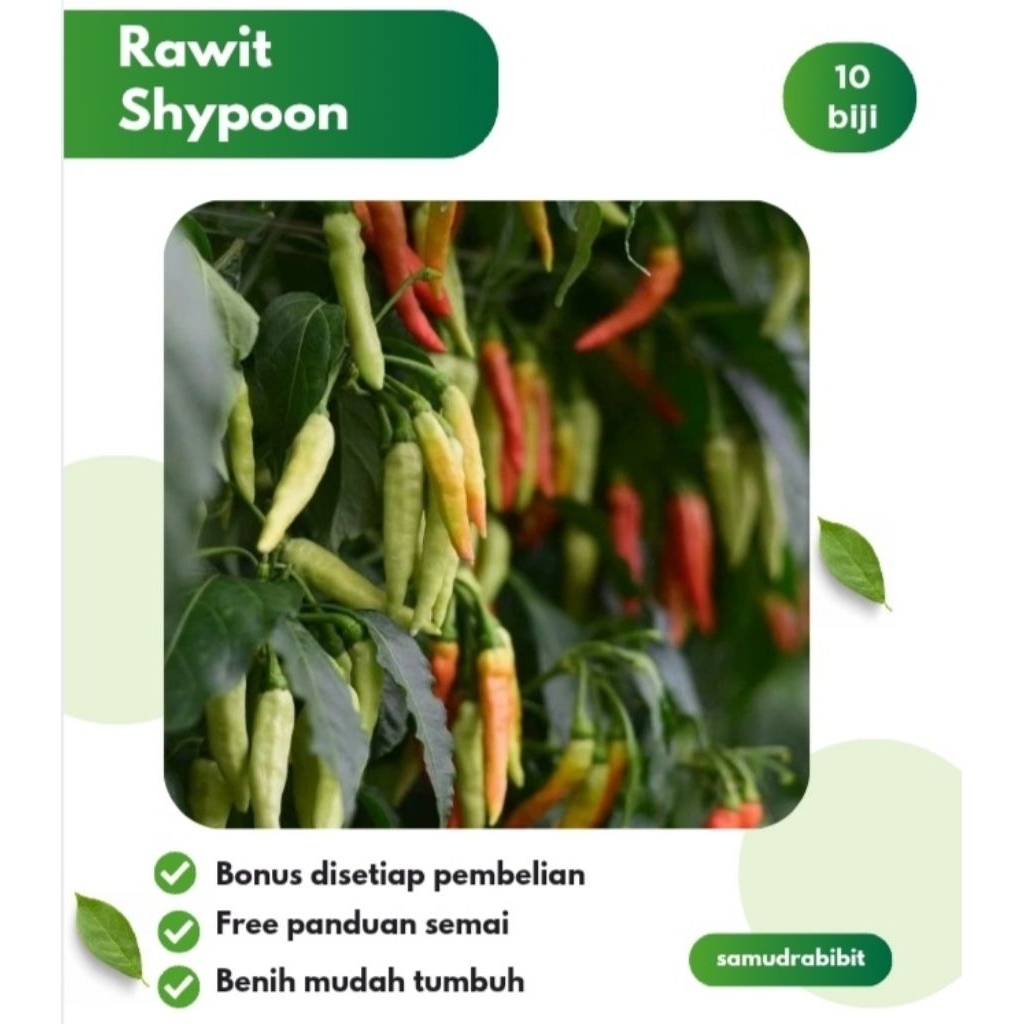 10 Benih Cabe Rawit Shypoon F1 Hibrida