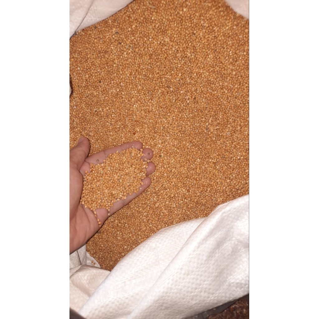 MILET PUTIH DAN MILET KUNING KILOAN