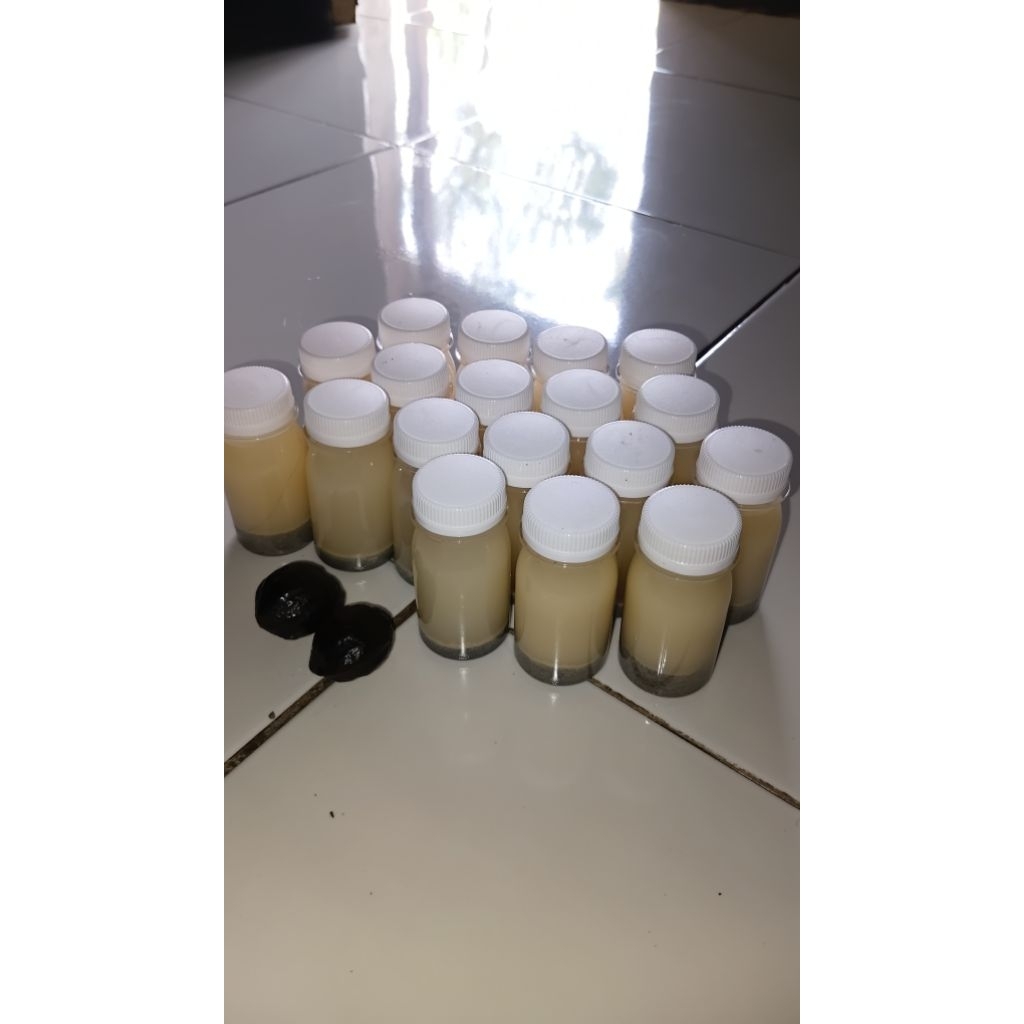 Ramuan adu muncang kuyukan bacem. supaya muncang kuat dan tidak mudah busuk