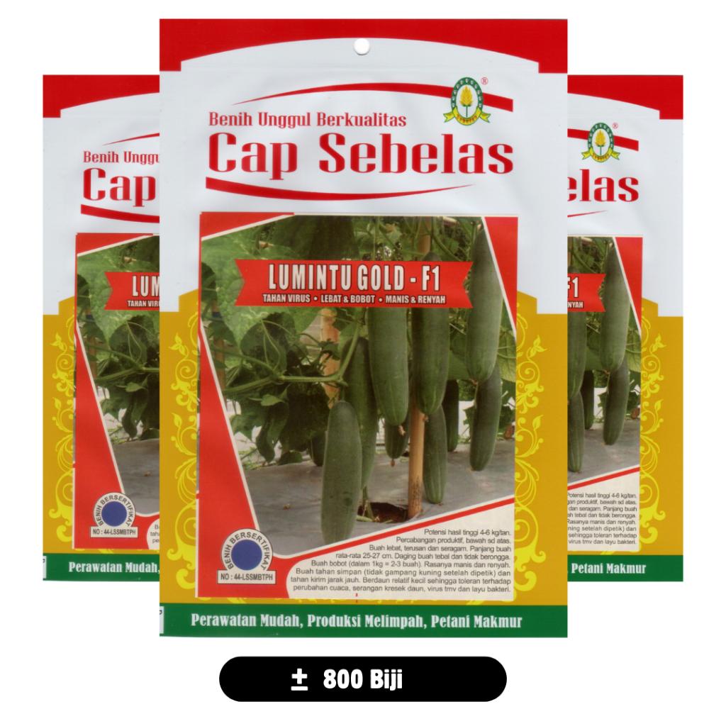 Timun Lumintu Gold F1 Cap Sebelas