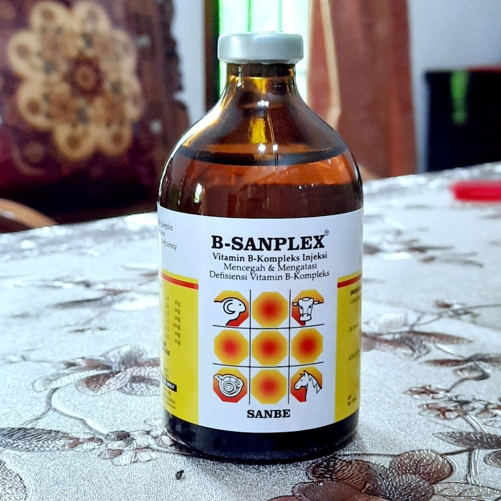 B SANPLEX 100 ML INJEKSI Vitamin B komplex hewan