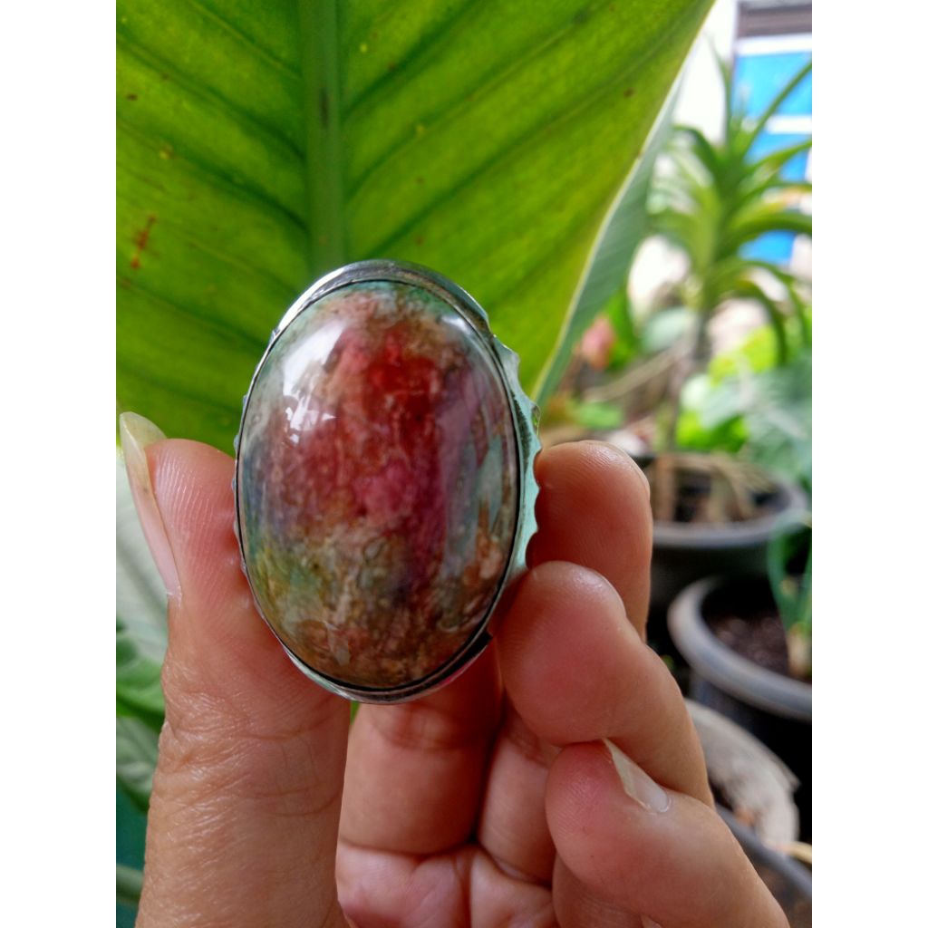 pancawarna garut darson