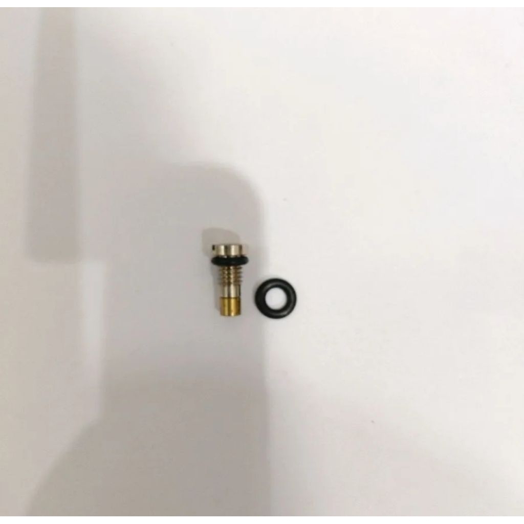 Inlet Valve WE + Ring