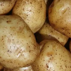 Kentang Dieng Kuning 1kg