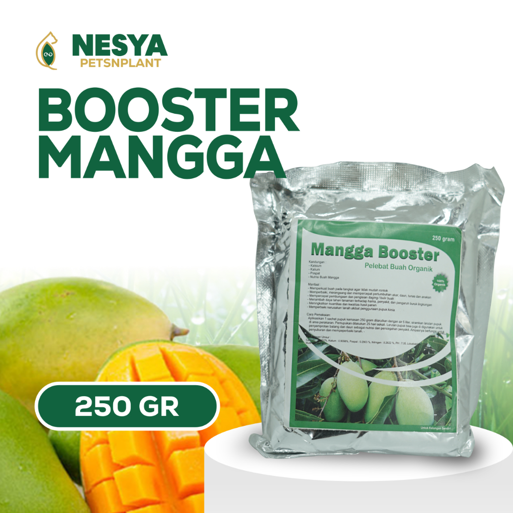 Pupuk Ampuh Booster Mangga Perangsang Buah Mangga Anti Rontok - Pupuk Buah